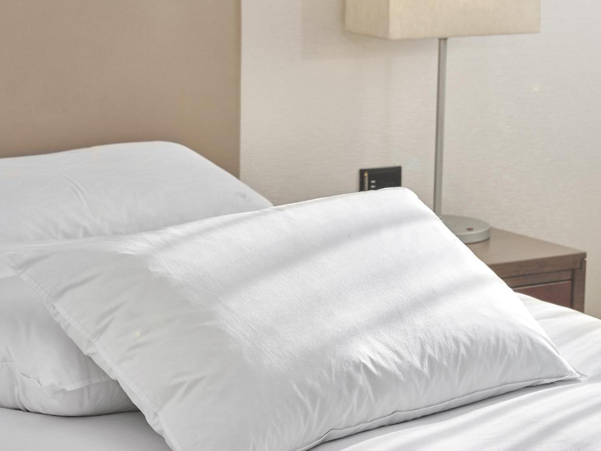 Windsor Hotel Тайчжун Екстер'єр фото A pillow